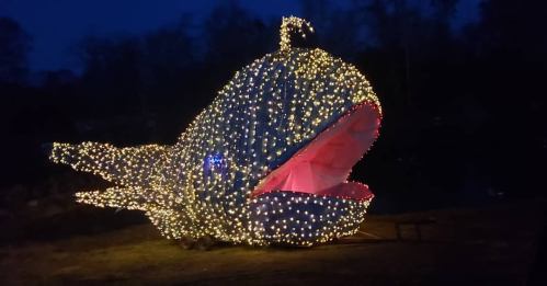 A large whale sculpture covered in twinkling lights, illuminated against a dark evening sky.