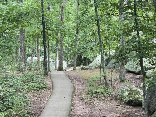 A winding concrete path through a lush green forest with large rocks and trees on either side.