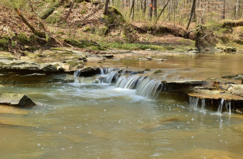 A serene stream flows over rocky ledges in a wooded area, surrounded by trees and fallen leaves.