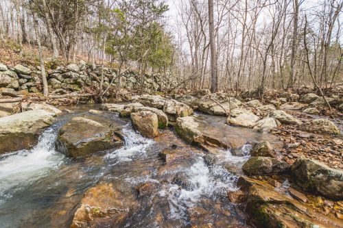 A serene stream flows over rocks, surrounded by trees and a rocky hillside in a peaceful natural setting.