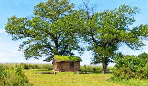 A small, rustic building with a grassy roof, surrounded by two large trees in a grassy field under a blue sky.