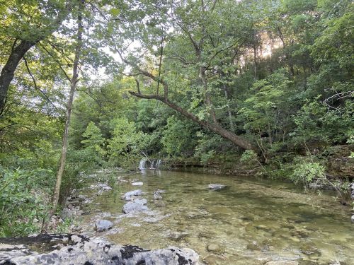 A serene river flows through a lush green forest, with trees and rocks lining the water's edge.