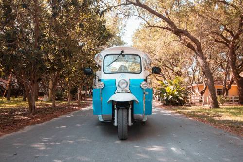 A blue and white electric tuk-tuk parked on a tree-lined path, surrounded by greenery.