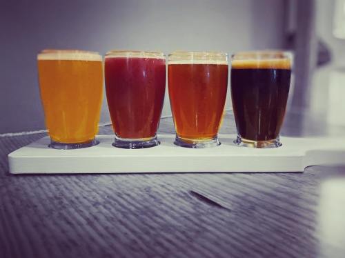 Four glasses of different colored beers lined up on a wooden board, showcasing a variety of brews.
