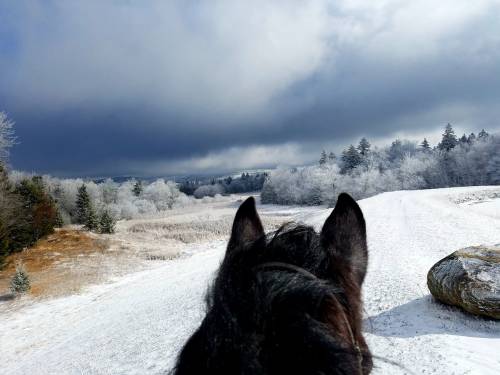View from behind a horse, overlooking a snowy landscape with frosted trees and dark clouds in the sky.