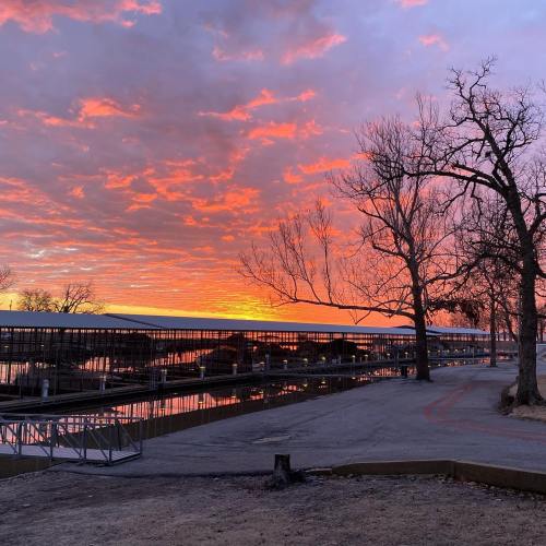 A vibrant sunset paints the sky in shades of orange and pink over a calm waterway, with bare trees silhouetted in the foreground.