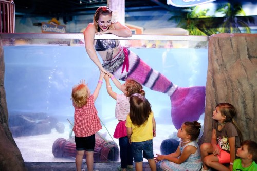 A mermaid interacts with children at an aquarium, with kids reaching out to her through the glass.