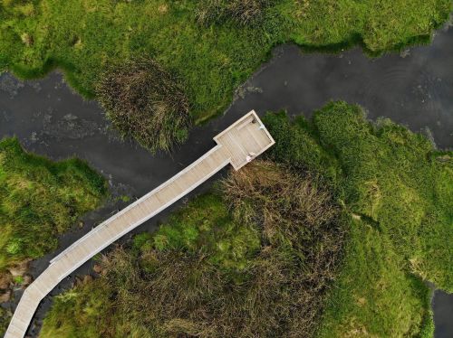 Aerial view of a wooden boardwalk winding through lush green marshland and dark water.