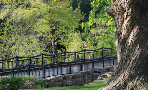 A winding path with a black fence, surrounded by lush greenery and a large tree trunk in the foreground.