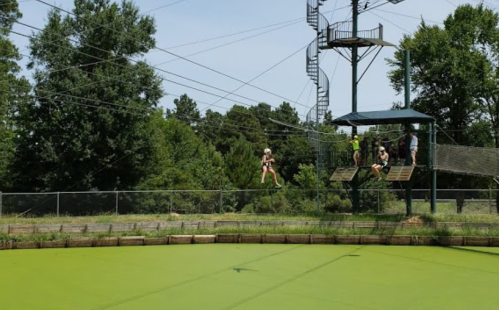 A person zip-lining over a green pond, with trees and a platform in the background.