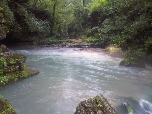 A serene river flows through a lush, green forest, with mist rising from the water and rocks along the banks.