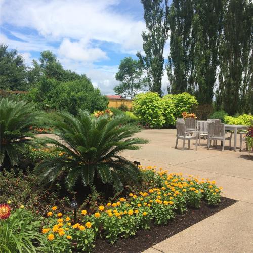A vibrant garden with lush greenery, colorful flowers, and a patio set under a blue sky with scattered clouds.