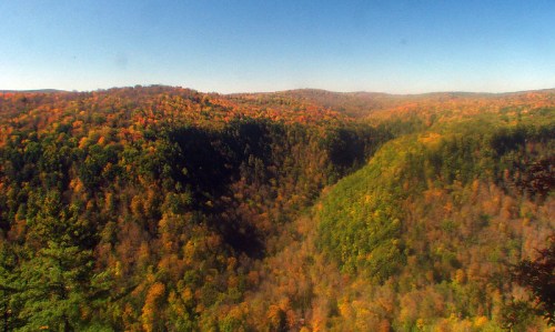 A panoramic view of a colorful forested valley, showcasing vibrant autumn foliage under a clear blue sky.