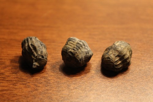 Three irregularly shaped, dark rocks resting on a wooden surface.