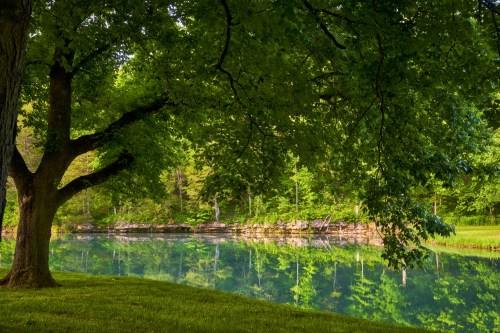 A serene pond surrounded by lush green trees, reflecting the vibrant foliage in calm water.