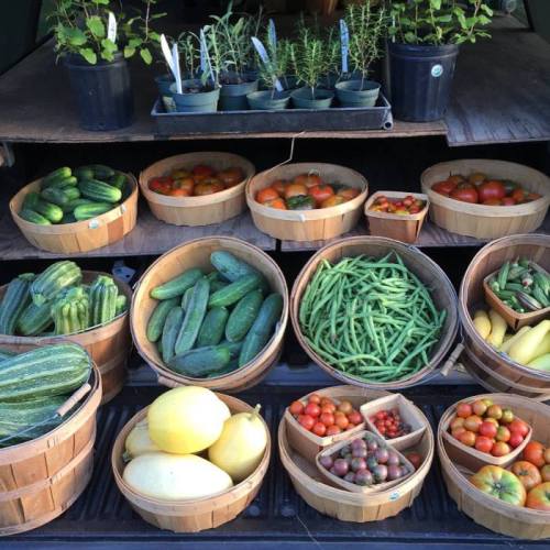 A variety of fresh vegetables and herbs displayed in wooden baskets on shelves, including cucumbers, tomatoes, and green beans.