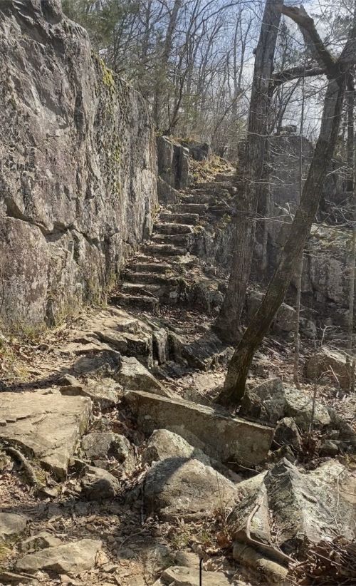 A rocky trail leads up through a forested area, with stone steps and bare trees in the background.