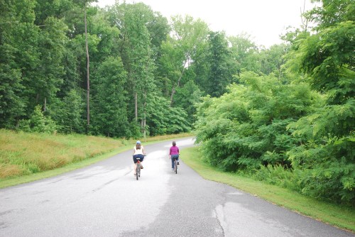 Two cyclists ride along a winding path surrounded by lush green trees and grass on a cloudy day.