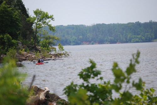 A person kayaking on a calm lake surrounded by lush greenery and distant trees.