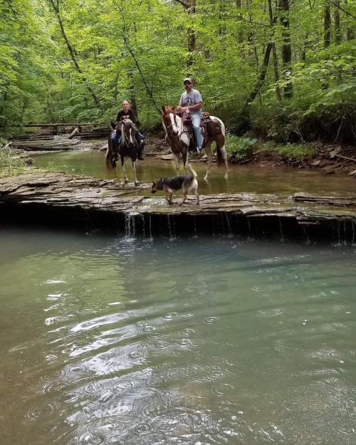 Two people on horseback and a dog stand by a stream in a lush green forest. Water flows gently over rocks.