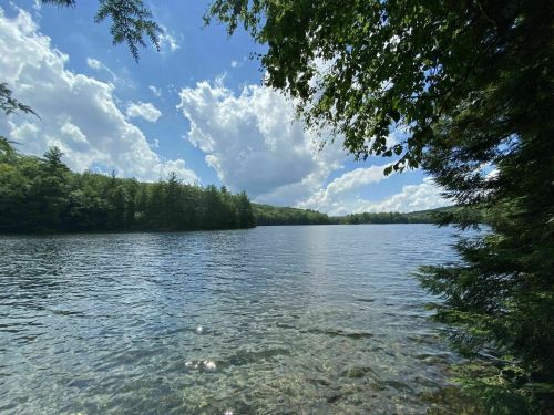 A serene lake surrounded by trees under a blue sky with fluffy clouds, reflecting the peaceful landscape.