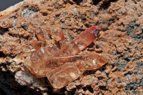 Close-up of a cluster of brownish-yellow quartz crystals on a rocky surface.