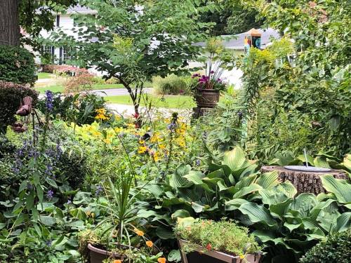 A lush garden filled with colorful flowers, greenery, and decorative planters, creating a vibrant outdoor scene.