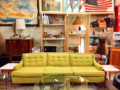 A vintage green sofa in an eclectic shop, surrounded by shelves of decor, art, and various furnishings.