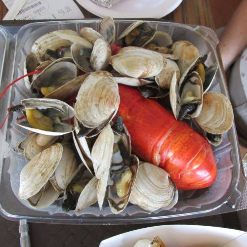 A large lobster surrounded by clams in a takeout container.