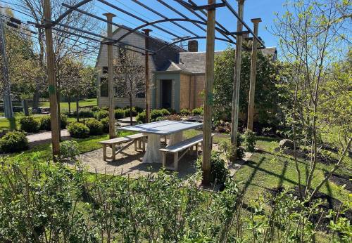 A sunny garden with a wooden pergola, a table, and benches surrounded by greenery and blooming plants.