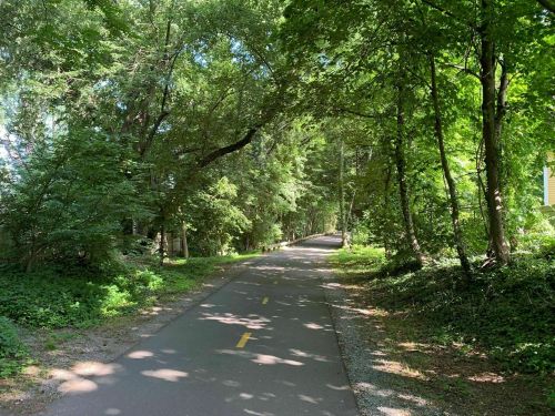 A peaceful, tree-lined path with greenery on both sides, inviting for walking or biking.