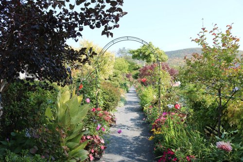 A scenic garden path lined with colorful flowers and greenery, leading to an archway under a clear blue sky.