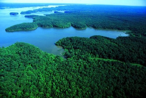 Aerial view of lush green forests and winding waterways, showcasing a serene natural landscape.