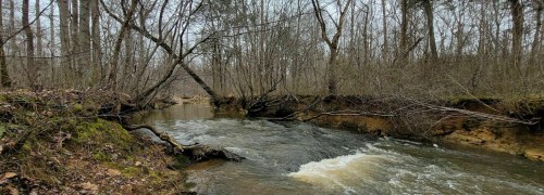 A serene river flows through a wooded area, with bare trees and rocky banks, under a cloudy sky.