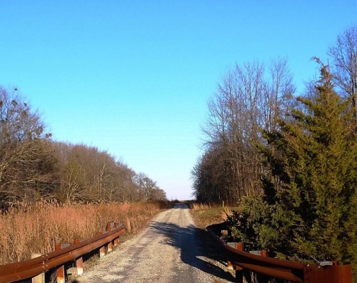 A gravel road stretches into the distance, flanked by trees and under a clear blue sky.