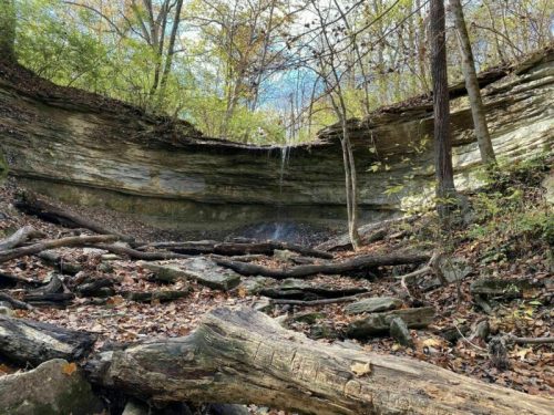 A serene forest scene with a rocky cliff, a small waterfall, and fallen logs amidst autumn foliage.