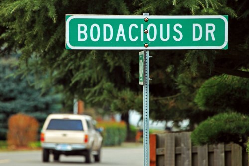 A green street sign reads "Bodacious Dr" with a blurred vehicle and trees in the background.