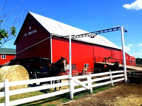 A red barn labeled "The Old Homestead" with horses and hay bales under a clear blue sky.