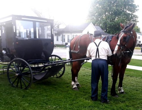 A man in traditional attire stands beside a horse-drawn carriage on a grassy area, with houses in the background.