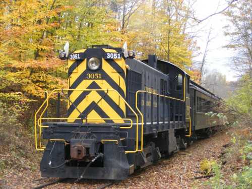 A black and yellow train engine with the number 3051, surrounded by autumn foliage on a forested track.