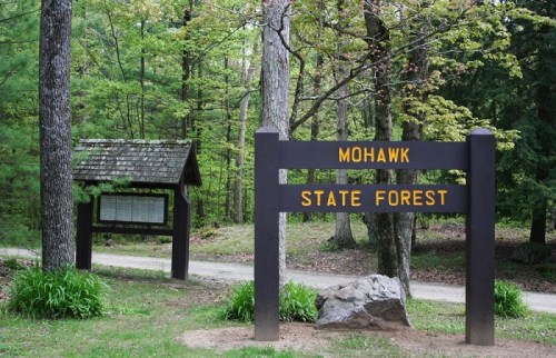 Sign for Mohawk State Forest, surrounded by trees and greenery, with a trail leading into the forest.