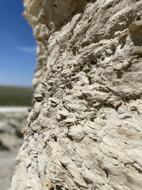 Close-up of textured, light-colored rock formation against a clear blue sky, with blurred background landscape.