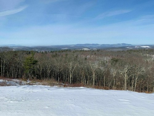A snowy landscape with bare trees and distant mountains under a clear blue sky.