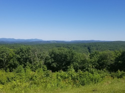 A panoramic view of lush green hills under a clear blue sky, with distant mountains on the horizon.