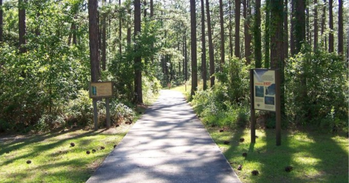 A paved path through a lush green forest, flanked by informational signs on either side.