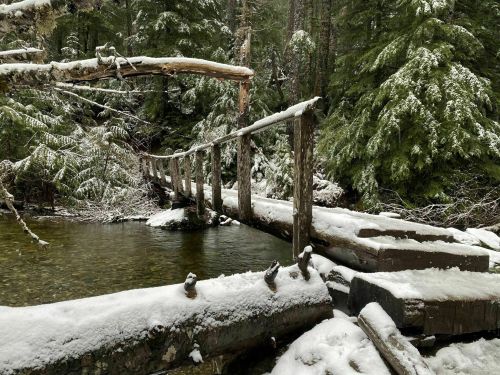 A snowy wooden bridge spans a calm stream, surrounded by lush green trees in a serene forest setting.