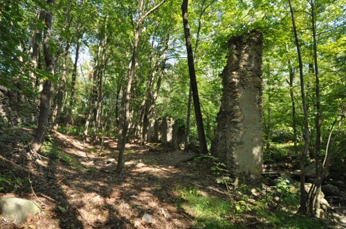 Ruins of stone structures surrounded by lush green trees in a forested area. Sunlight filters through the foliage.