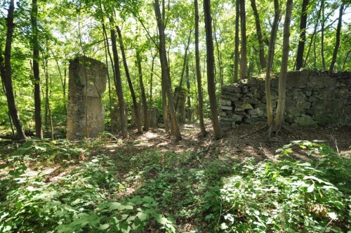 Ruins of stone walls surrounded by lush green trees and underbrush in a forested area.