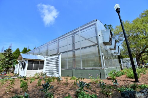 A modern greenhouse with glass panels, surrounded by a garden and a lamp post under a clear blue sky.