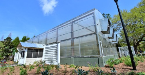 A large greenhouse with glass panels, surrounded by a garden and blue sky, showcasing a modern design.